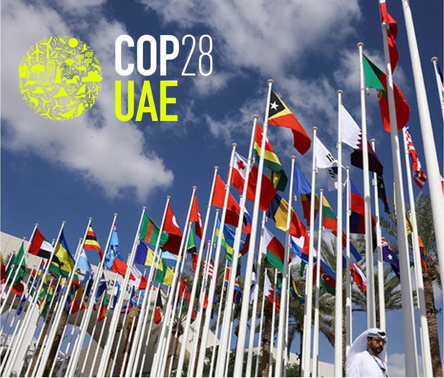 UAE'S Diplomatic Leadership at COP28: Navigating Global Climate Solutions